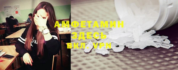 индика Лабытнанги