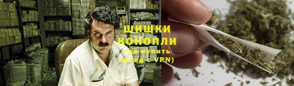 индика Лабытнанги