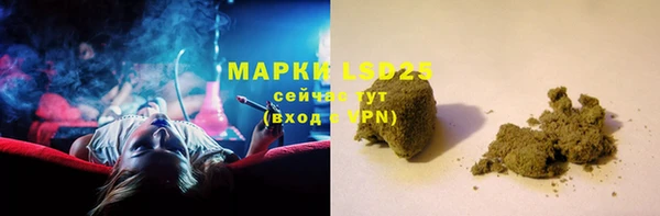 индика Лабытнанги