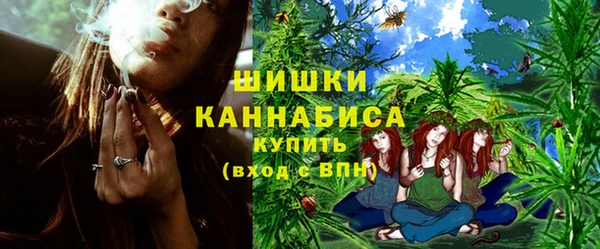 индика Лабытнанги