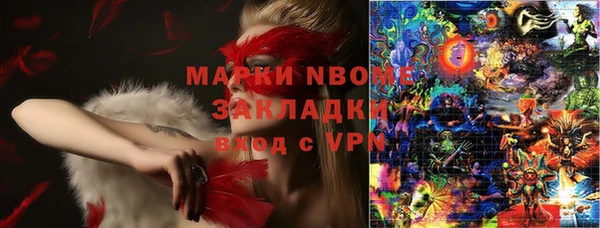 индика Лабытнанги