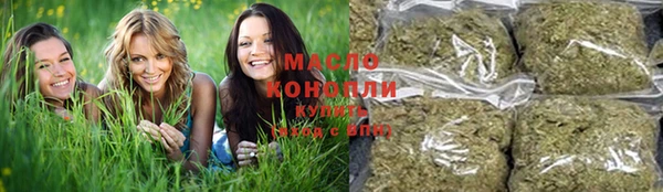 индика Лабытнанги
