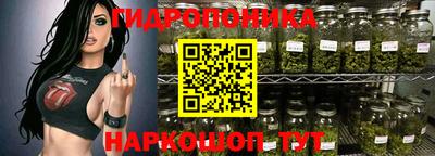 твердый Будённовск