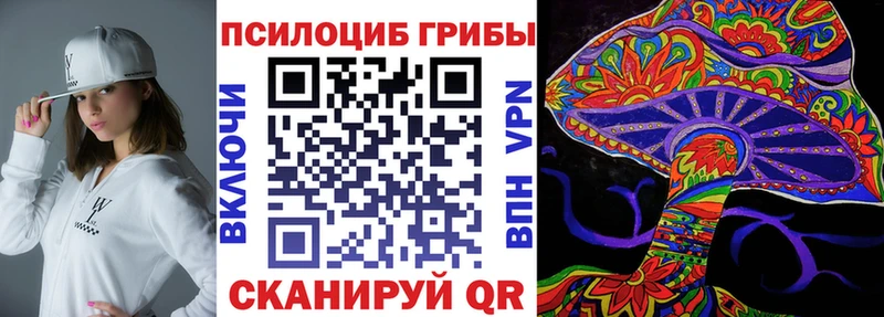 Псилоцибиновые грибы MAGIC MUSHROOMS  гидра сайт  Долгопрудный 