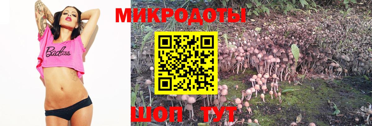 Галлюциногенные грибы мухоморы Долгопрудный