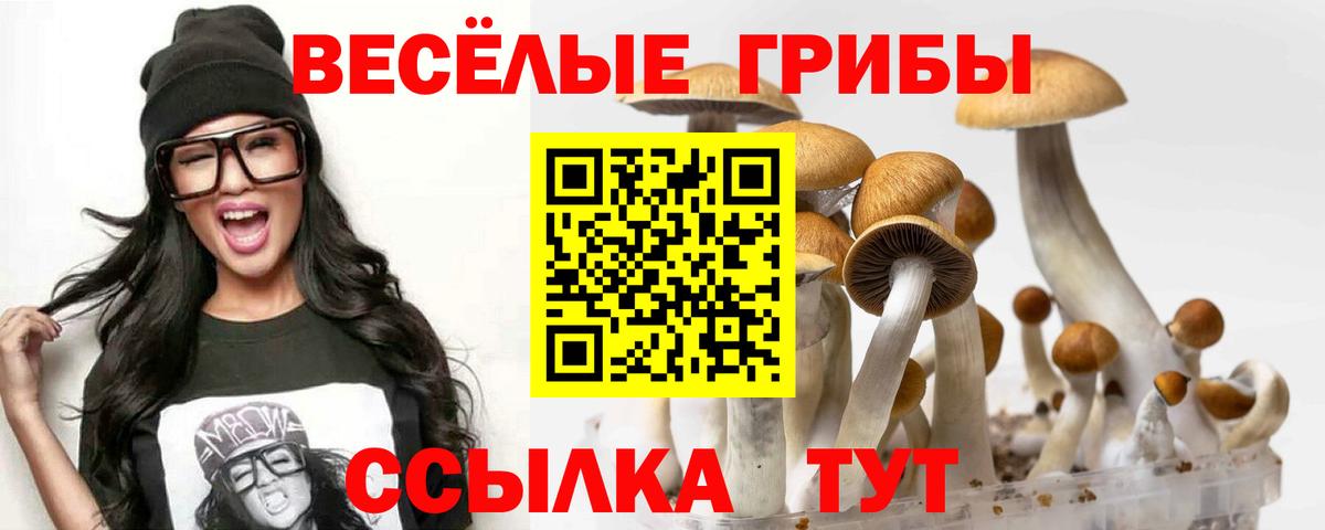 Псилоцибиновые грибы мухоморы  Вход с VPN  Долгопрудный 